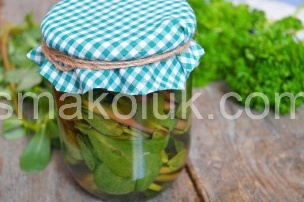 маринований портулак на зиму 13_маринований портулак на зиму